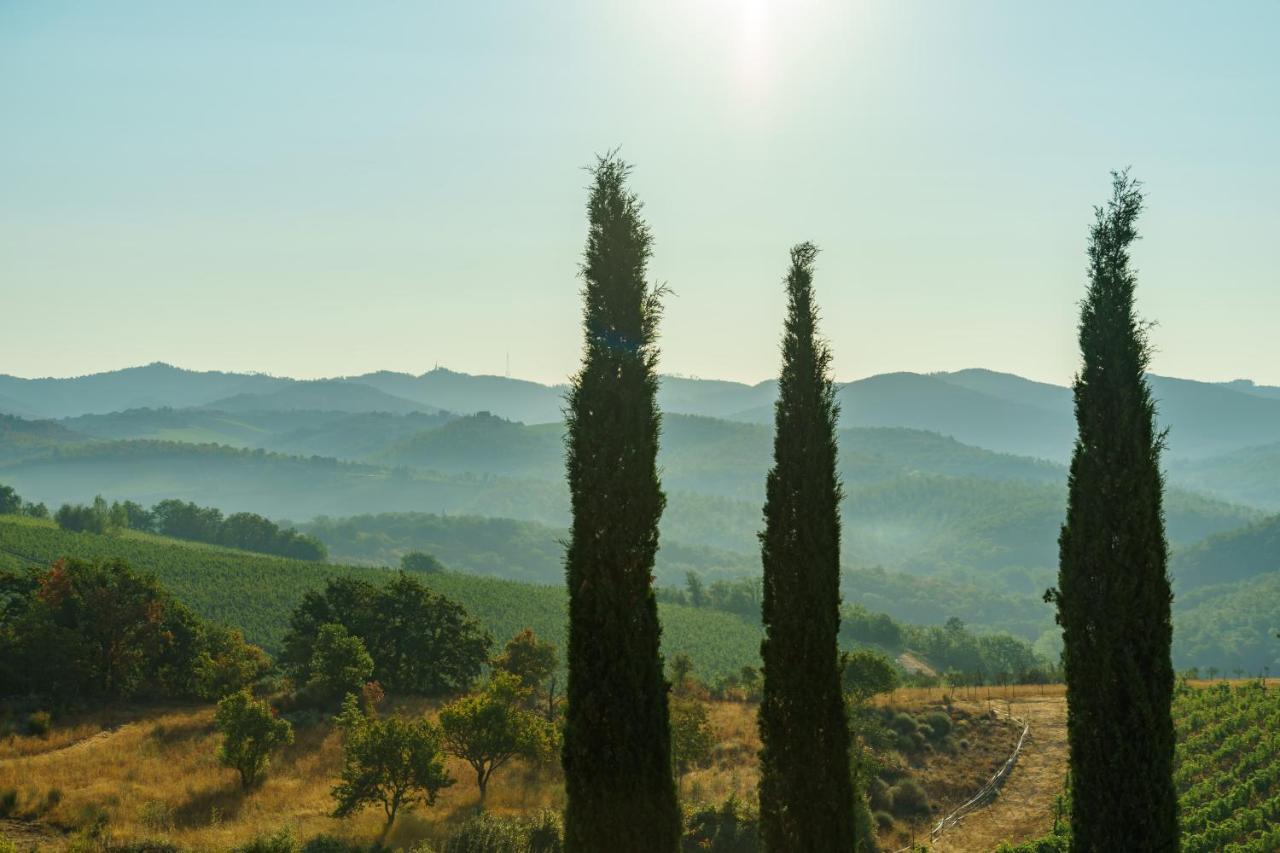 Celle Di Lecchi Nel Chianti Villa San Sano Екстериор снимка