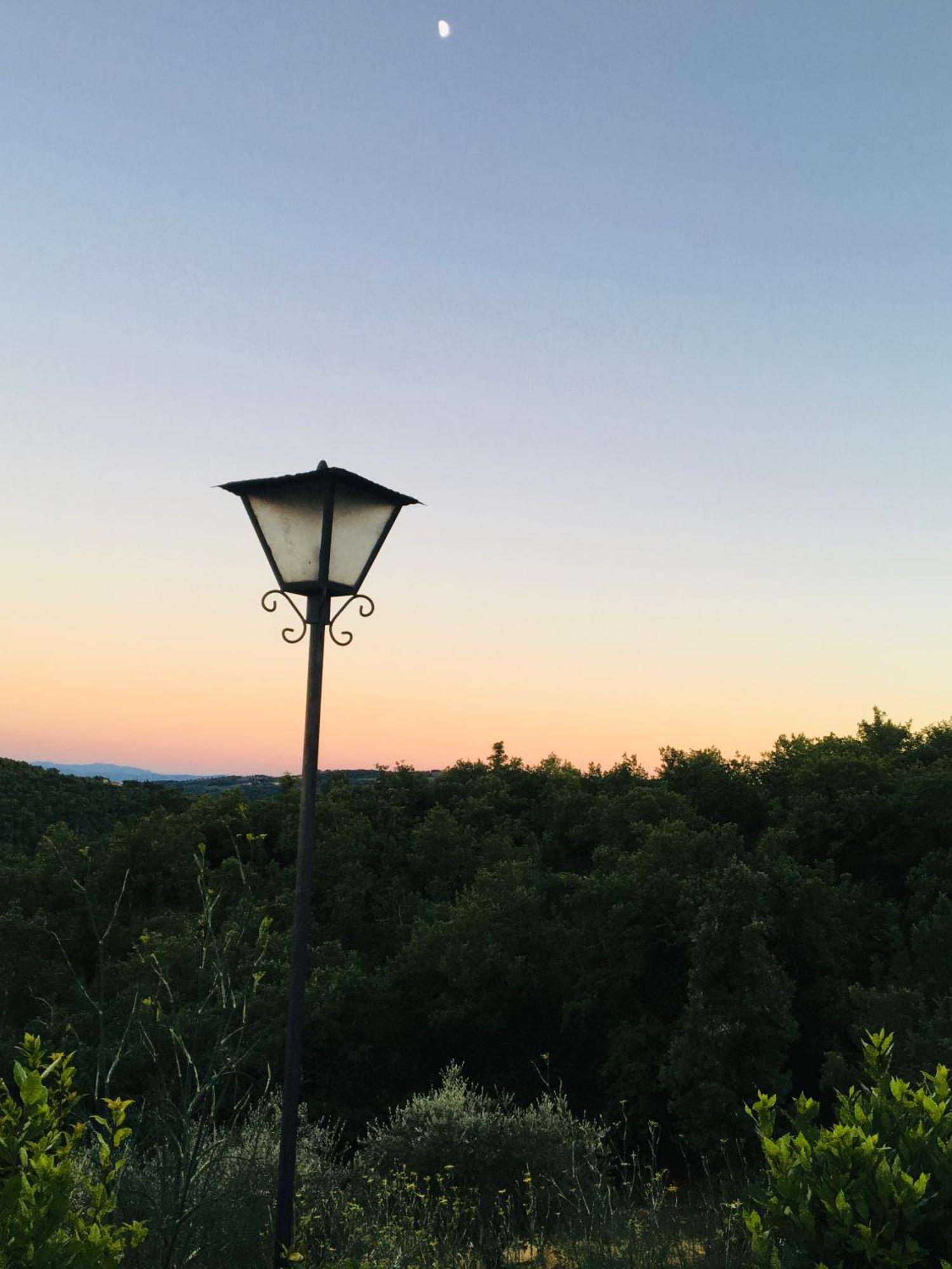 Celle Di Lecchi Nel Chianti Villa San Sano Екстериор снимка