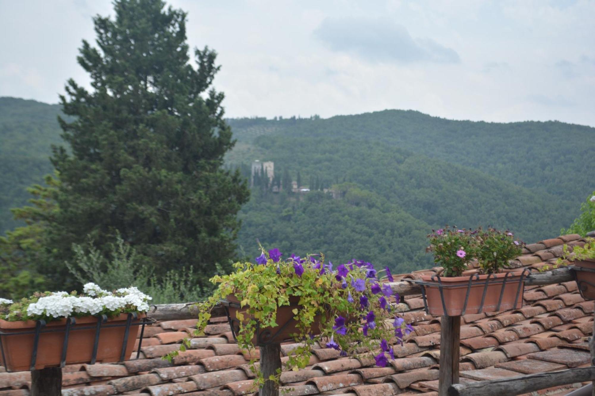 Celle Di Lecchi Nel Chianti Villa San Sano Екстериор снимка